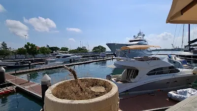 Black Stone Yacht Club 1