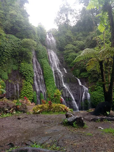 Bali Journey Tours - Private Bali Driver 4