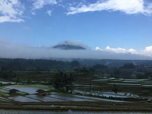 MAPS BALI TOUR 1