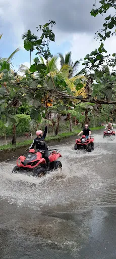 The Transporter Bali 2