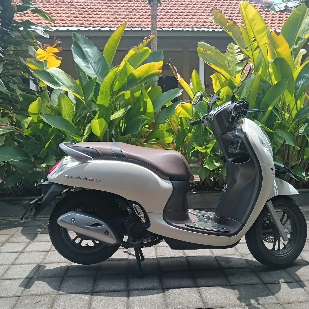 PULUNGAN RENTAL 1