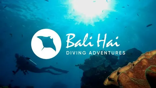 Bali Hai Diving Adventures 1