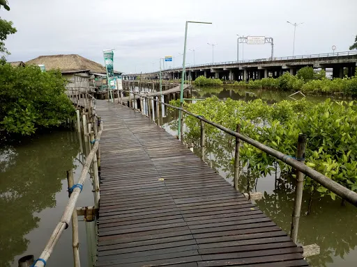 Ekowisata Mangrove 2