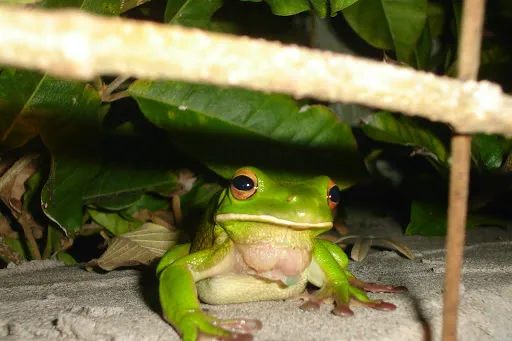 Kite & Surf Bali ON LINE SHOP 2