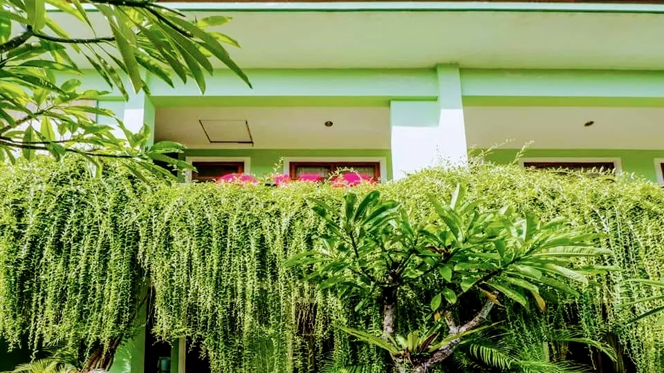 PURNAMA HOUSE KUTA 3