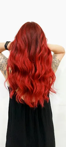 HOBS-Hair of beauty solution- 2
