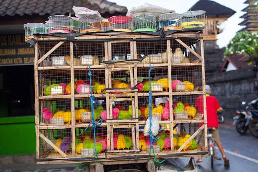 Pasar Desa Jimbaran 2