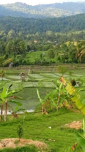 MUNDUK TAXI SERVICE - SB BALI TOUR 4