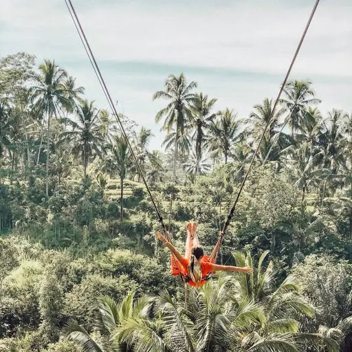 BALI GLOBAL TOUR transport & tour travel 4