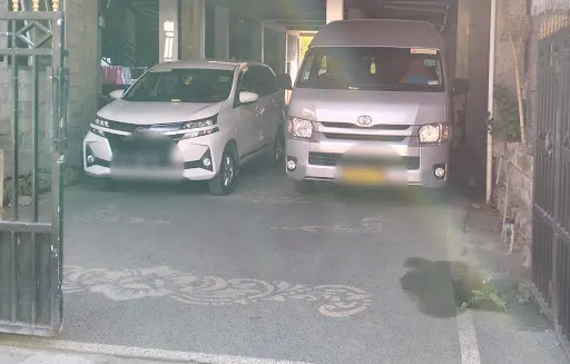 Good Bali Driver - Private Tours 1