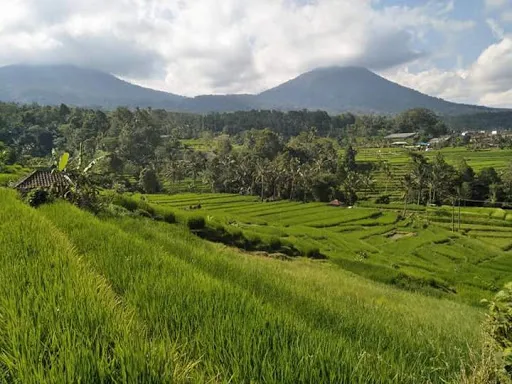 Good Bali Driver - Private Tours 3