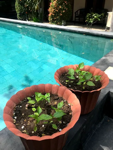 De Bukit Residences 4