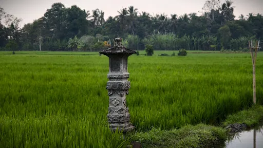 Sewa Kamera Bali - SobatCapture 2