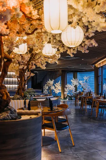 Saikai 240 Izakaya 3