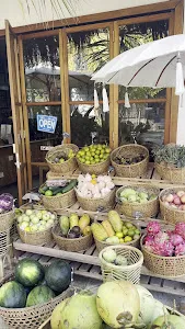 Pregnant Coconut Cafe 2