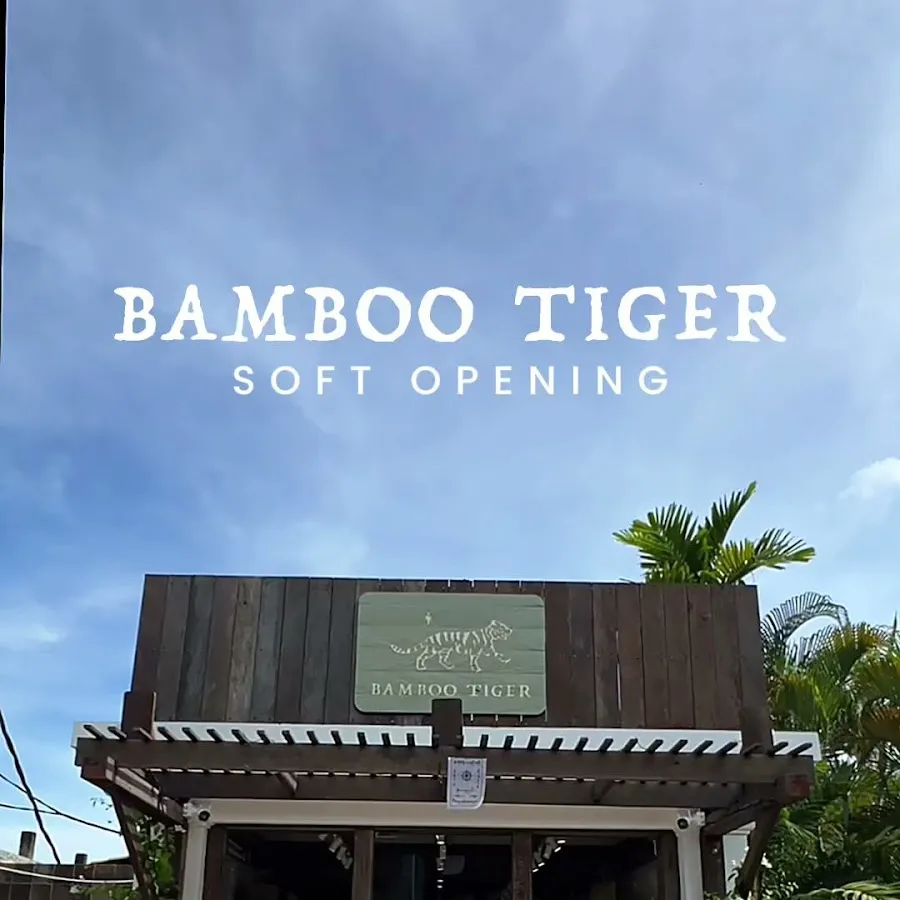 Bamboo Tiger 2
