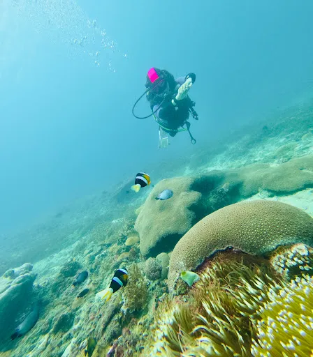 S.E.A. Diving Bali 1