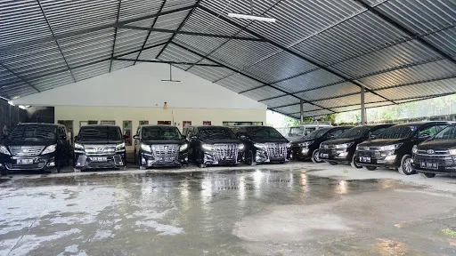 Jabalo Transport 2
