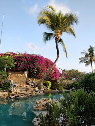 River Pool 3