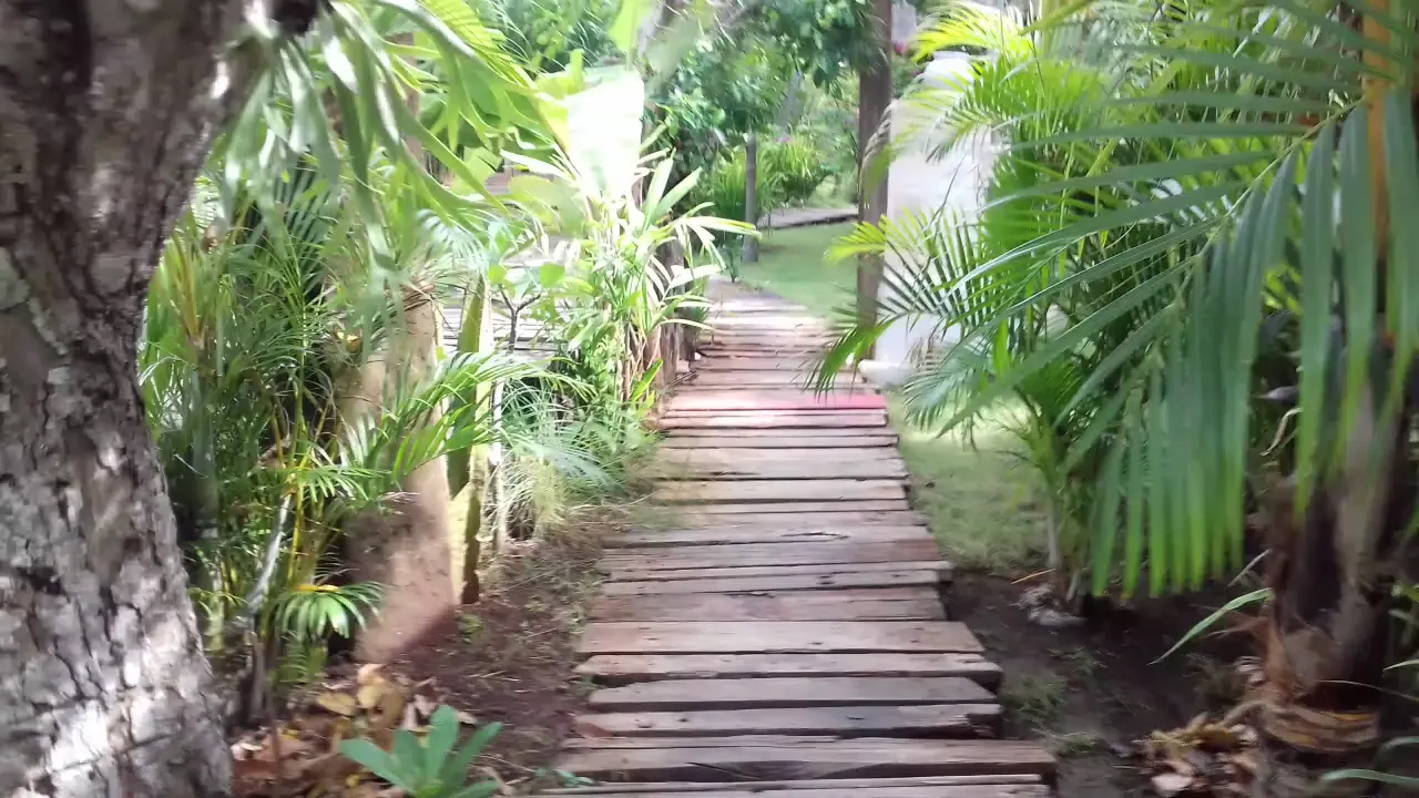 The Alchemist Bungalows & Restaurant 1