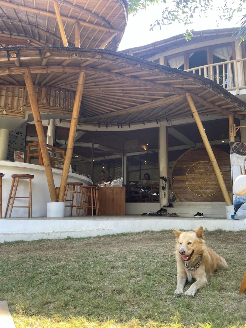 The space coworking 4