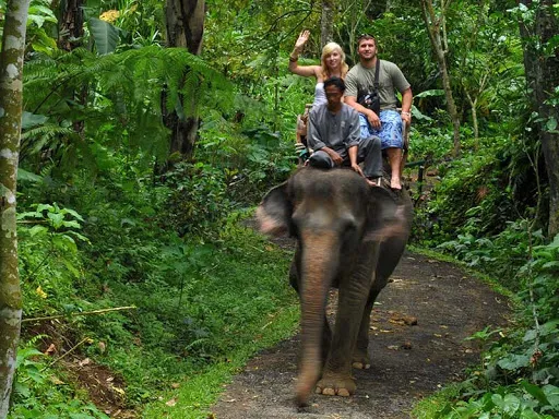 Nusantara Tour & Travel 2