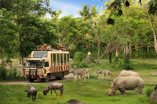 Nusantara Tour & Travel 3