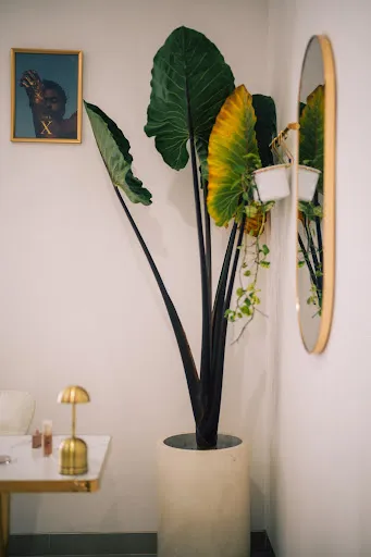 The X Beauty Lounge Bali 3