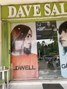 Dave Salon 4 2