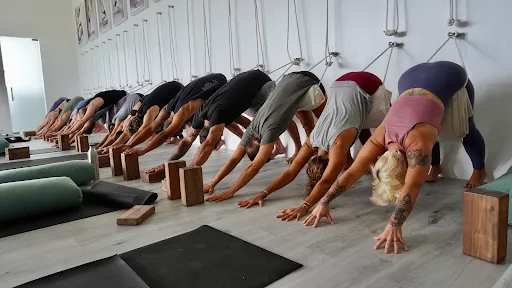 Desa Yogi Iyengar Yoga Shala 1