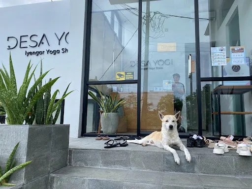 Desa Yogi Iyengar Yoga Shala 3