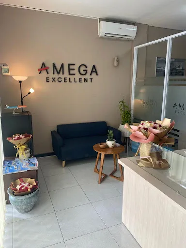 Amega Excellent - Airport Fast Track, Meet & Greet Services 1