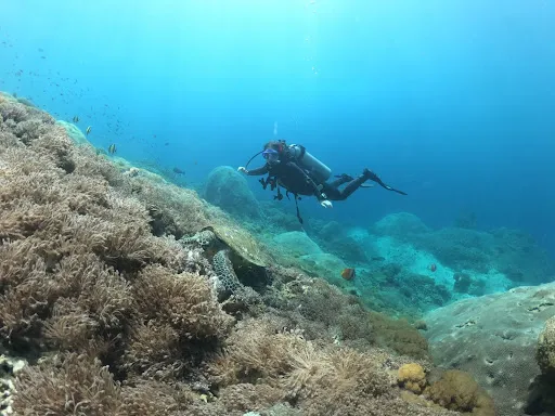 Bali Exotic Diving 1