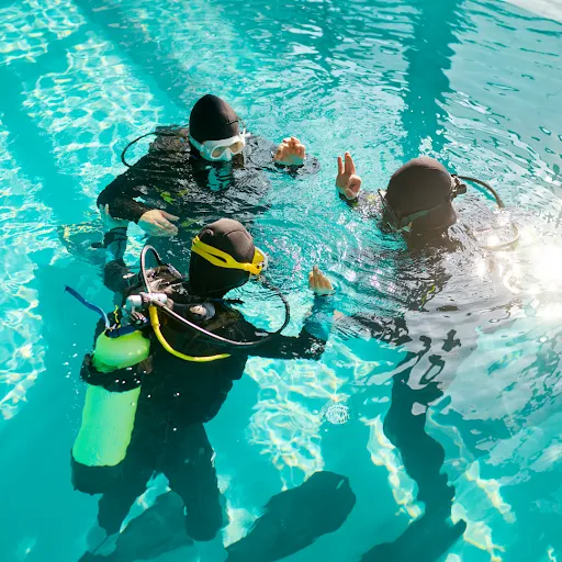 Bali Exotic Diving 3