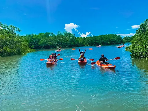 Bali Mangrove Forest Tour 1