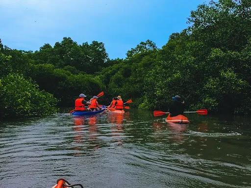 Bali Mangrove Forest Tour 2