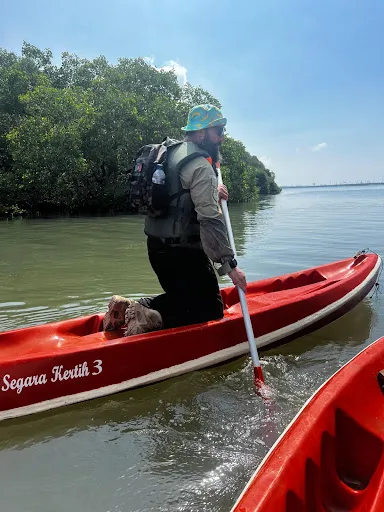 Bali Mangrove Forest Tour 3