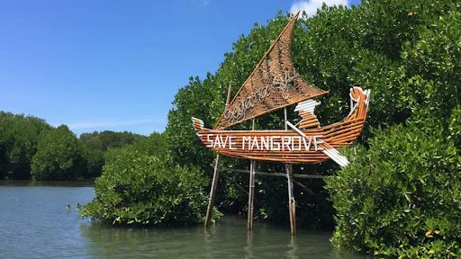 Bali Mangrove Forest Tour 4