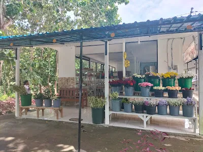 Bloom Florist Jimbaran 1