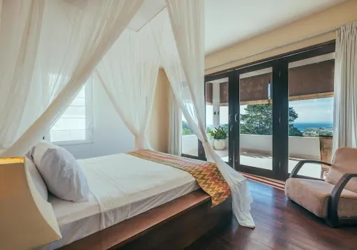 The Backyard Bingin 1