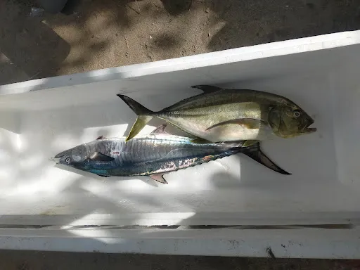 Spearfishing gus ame 2