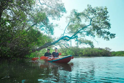 Eco Mangrove Ulam Sari (Mangrove Tour & Education) 2