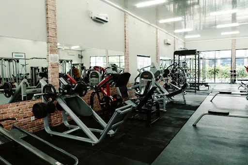 Muscle Beach Club 3