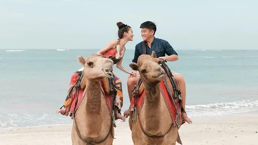 Bali Camel Adventure 1