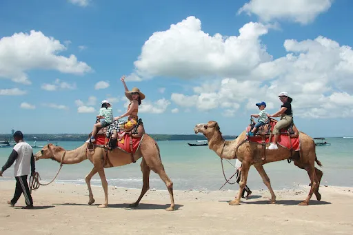 Bali Camel Adventure 2