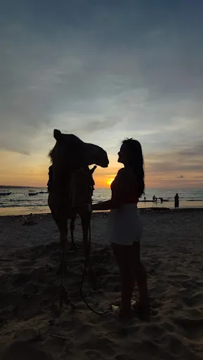 Bali Camel Adventure 3