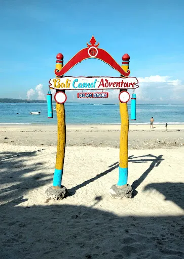 Bali Camel Adventure 4