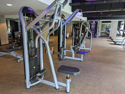 GAIA Gym