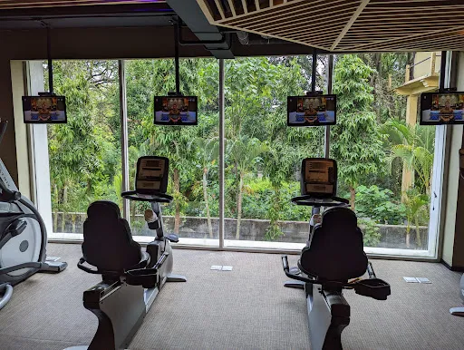 GAIA Gym 4