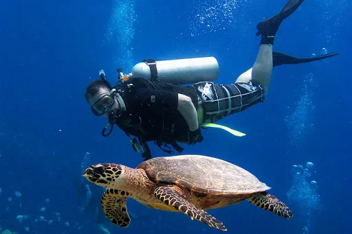 PRO DIVE Bali 3